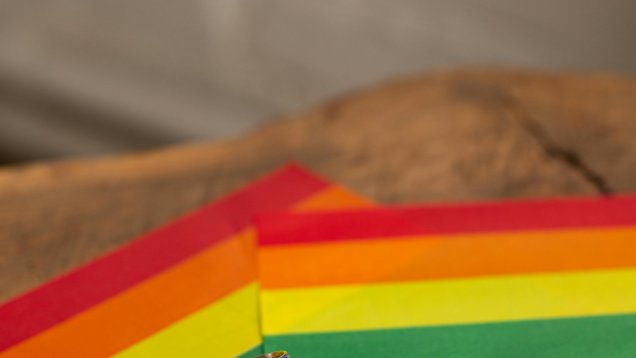 Attitudes Towards Minorities Slip Backwards in States 