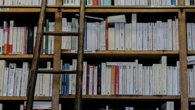 Rave Review for Wilde Book