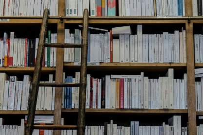 Rave Review for Wilde Book