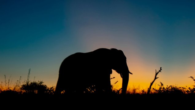 African Chief Writes on a Rainbow Spiritual Journey