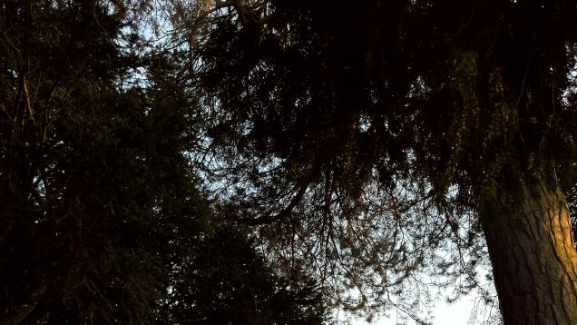 Church of England Votes to Kick Blessings into Long Grass