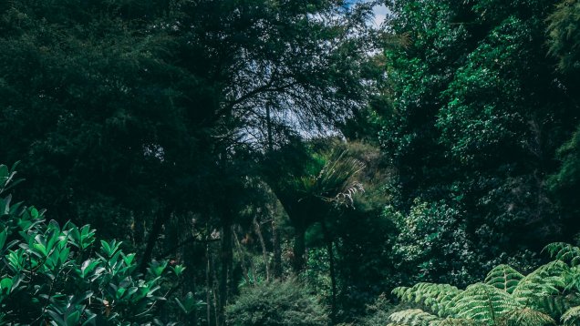 Walking Workshops for South London Now that Spring is Near