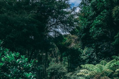 Walking Workshops for South London Now that Spring is Near