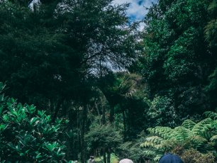 Walking Workshops for South London Now that Spring is Near