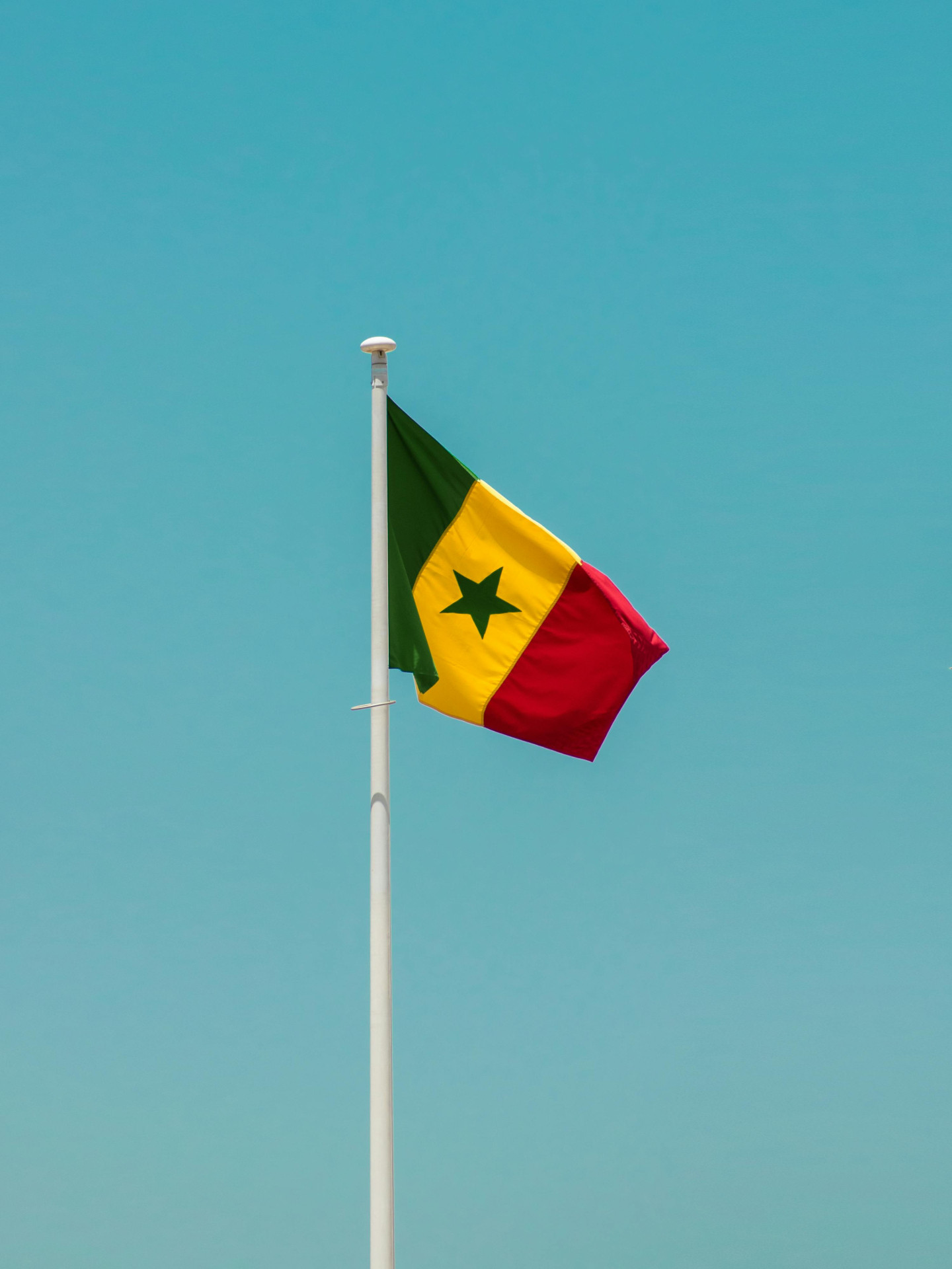 Mobilising Against Senegal's New Anti-Gay Bill