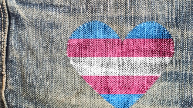 Unified Democrats Stall Trump Trans Sports Ban