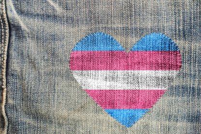 Unified Democrats Stall Trump Trans Sports Ban