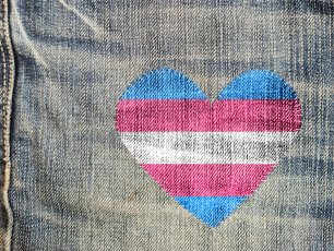 Unified Democrats Stall Trump Trans Sports Ban