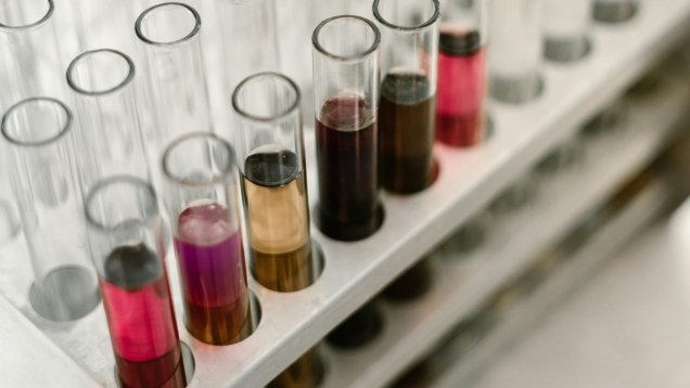 American Atheists Warn of State-Religion Melding as White House Falls into Christian Nationalism