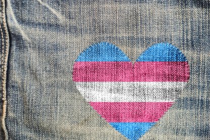 Good Law Project helps Inclusive School Resist Transphobic Parents