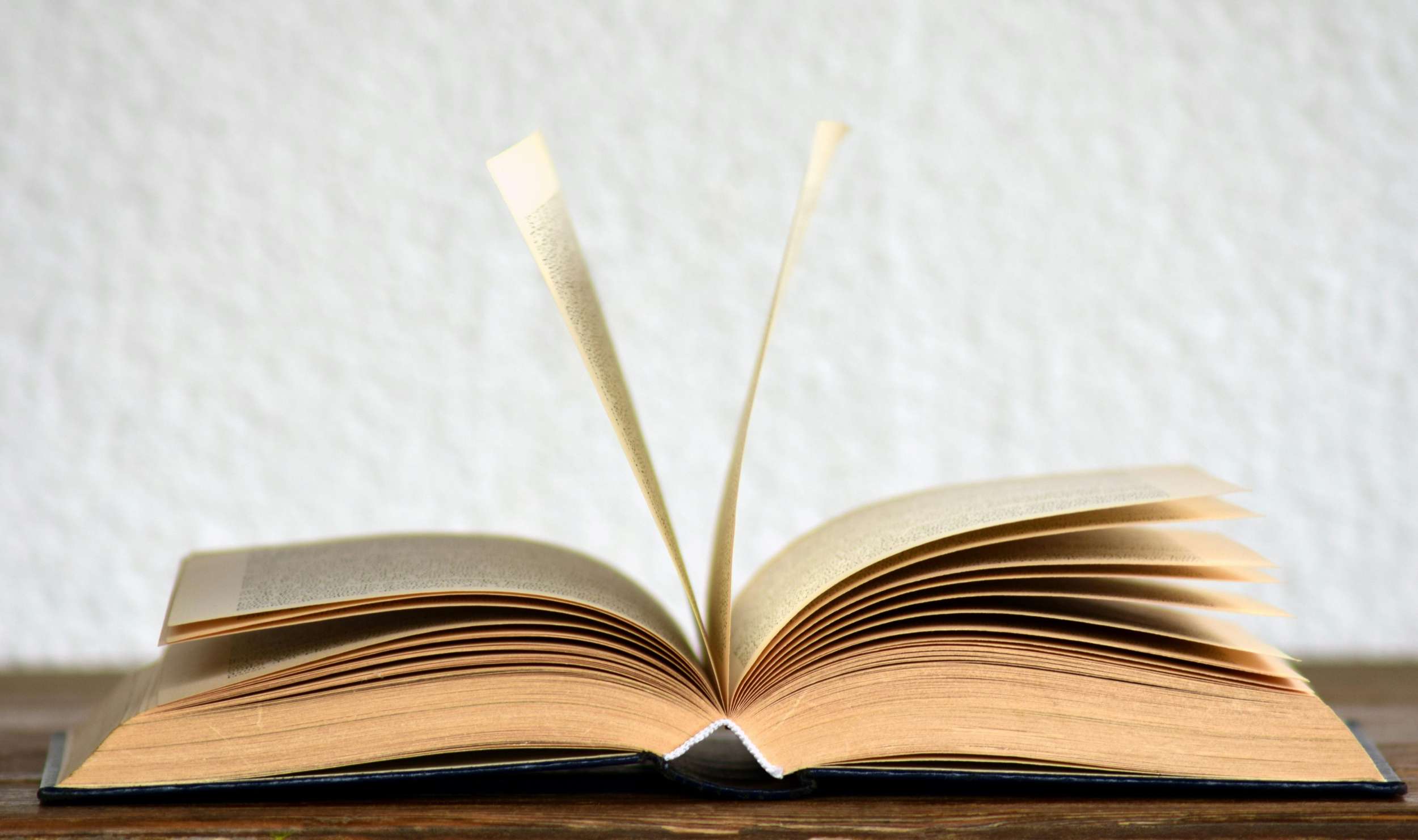 Local Bookstore Hosts Award Winning Writer
