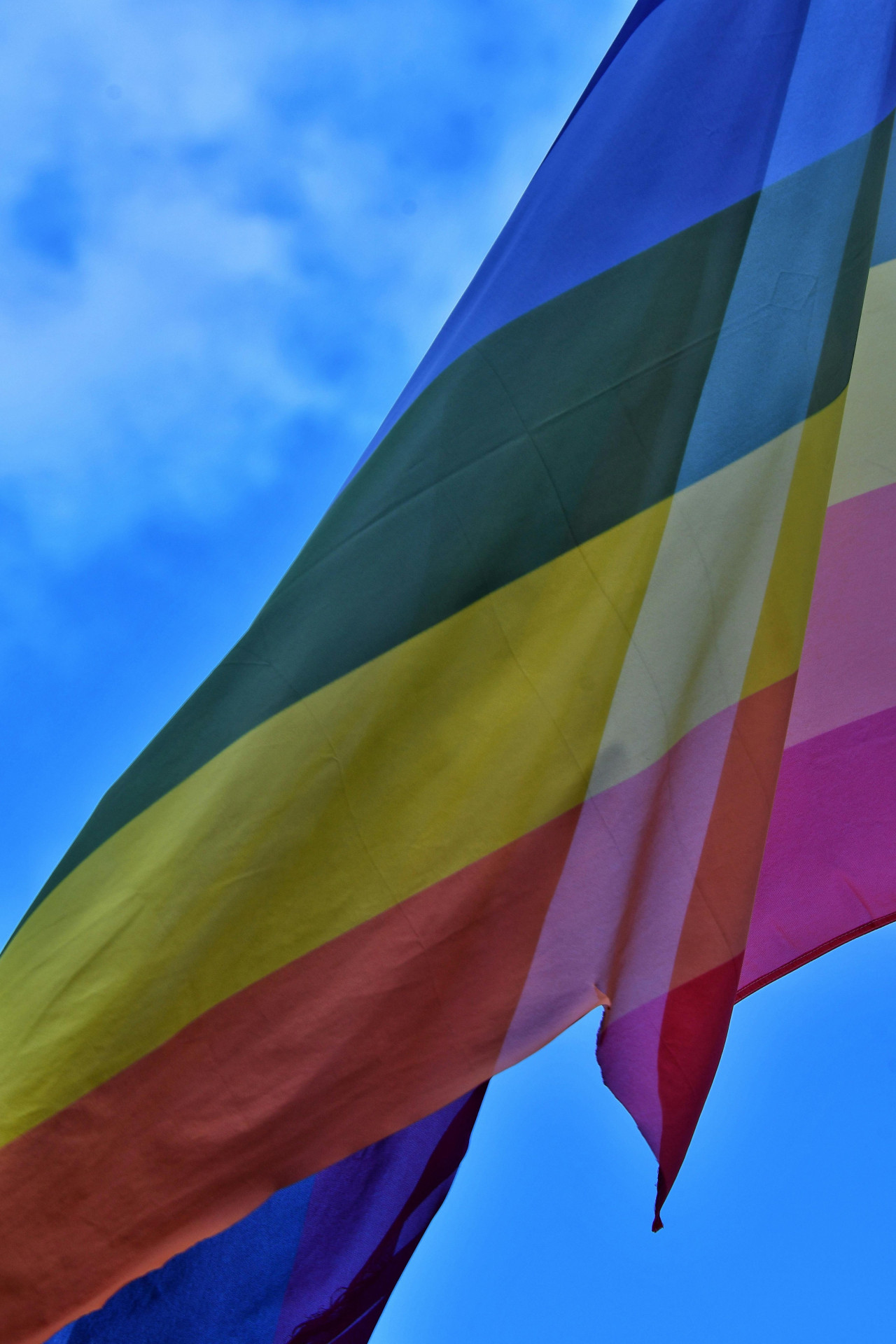 Flag Waving Gets Tasty in Bristol as Rainbows Replace Racism