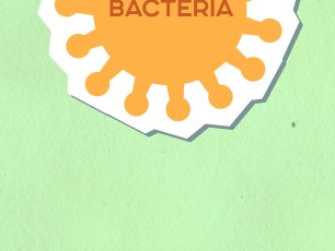 Gay Podcast Doctor Raises Community Awareness of Shigella, a Nasty Infection