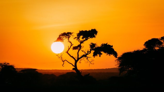 Signatures Wanted for Gabon Petition