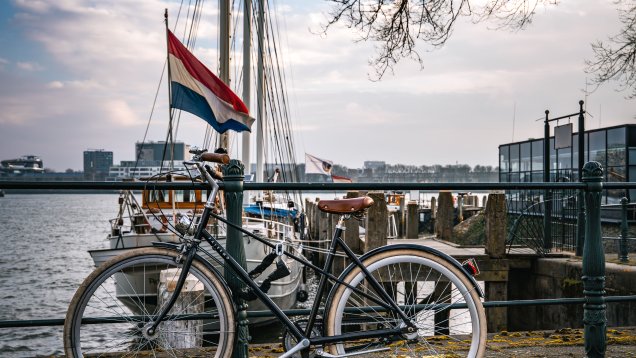 Dutch Medical Review Concludes that Trans Affirmative Care Saves Lives and Promotes a Happier Society