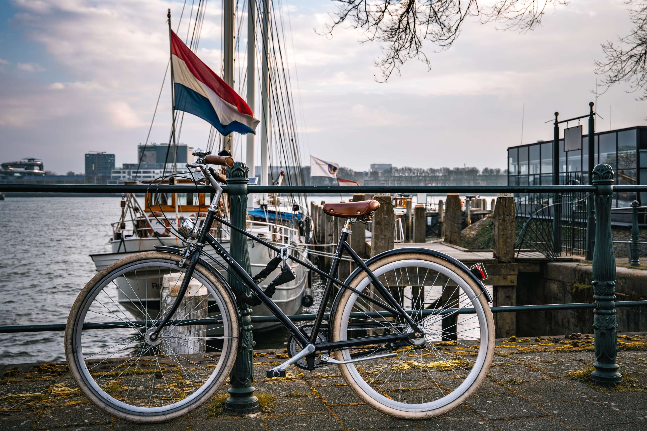 Dutch Medical Review Concludes that Trans Affirmative Care Saves Lives and Promotes a Happier Society