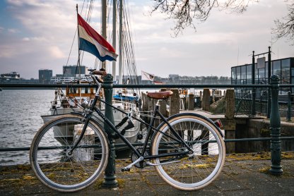 Dutch Medical Review Concludes that Trans Affirmative Care Saves Lives and Promotes a Happier Society