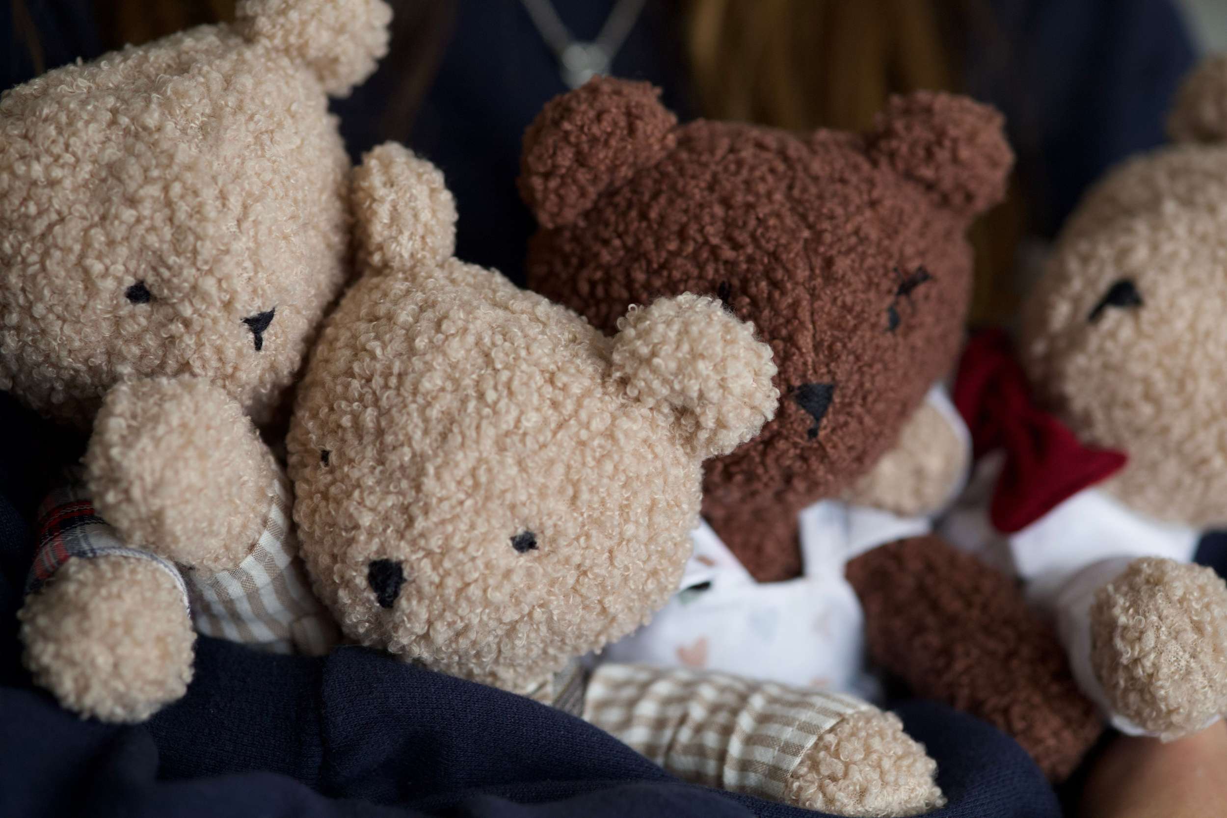 The Survival of Gay Bear Culture in an Era of Weight Loss "Fascism"