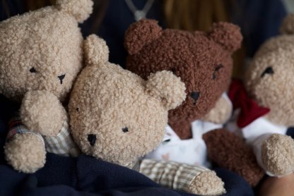 The Survival of Gay Bear Culture in an Era of Weight Loss "Fascism"