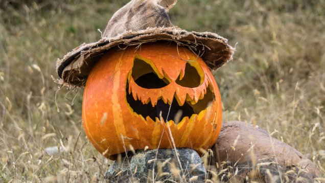Hallowe'en is "Gay Christmas" and You can Buy Ethically for the Season