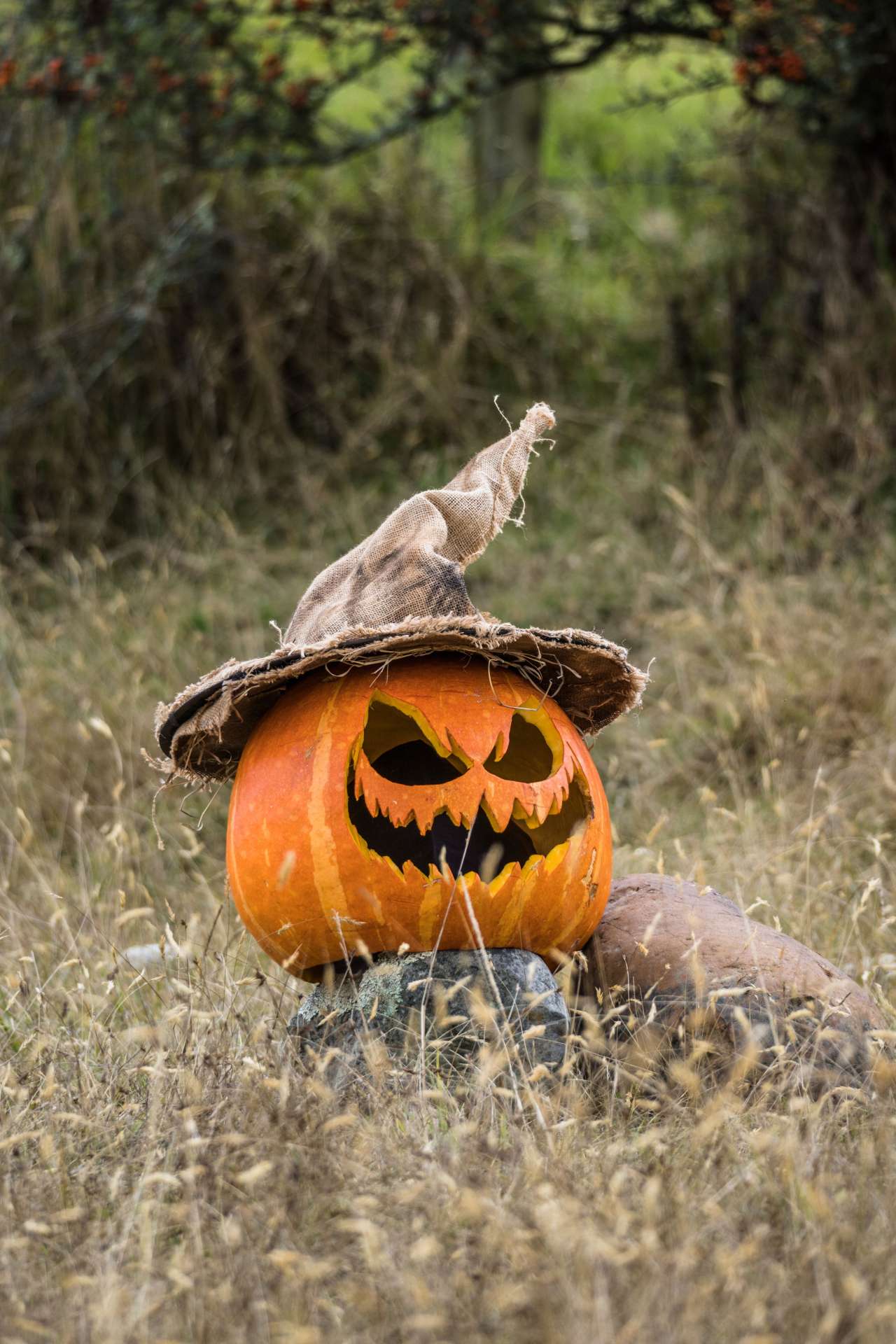 Hallowe'en is "Gay Christmas" and You can Buy Ethically for the Season