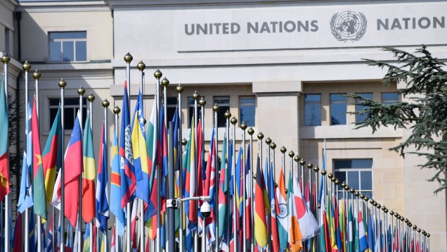 Celebrating Our Culture and Achievements, Pressing UN to do the Same