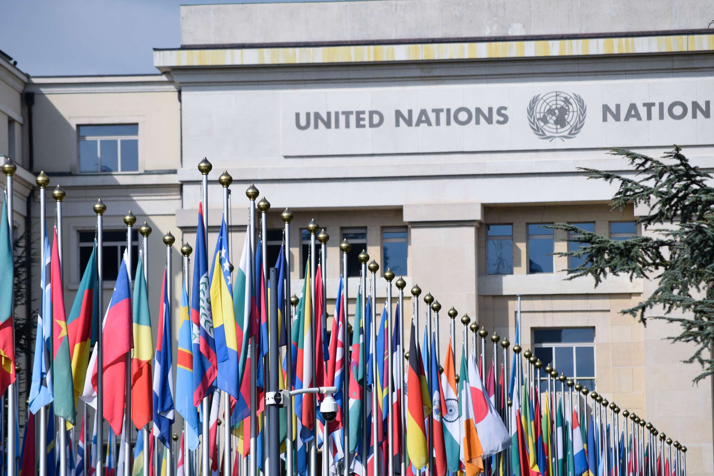 Celebrating Our Culture and Achievements, Pressing UN to do the Same