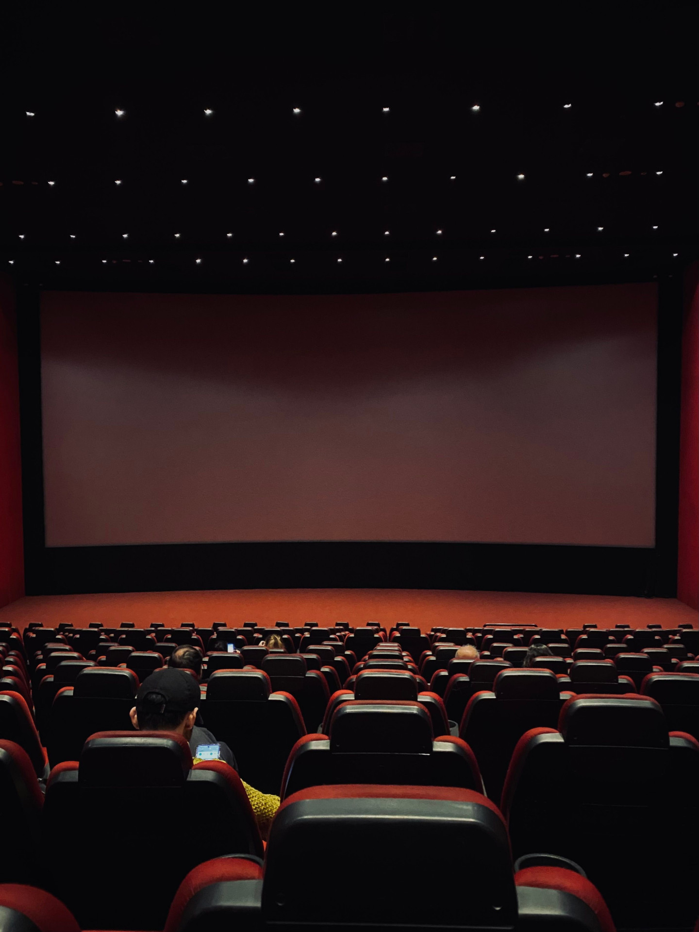Boston Queer Film Celebration Will be Back in 2027