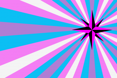 Stylised Trans flag TG Flag